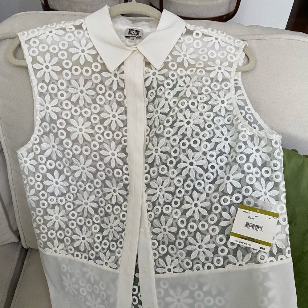 Lovely semi sheer blouse